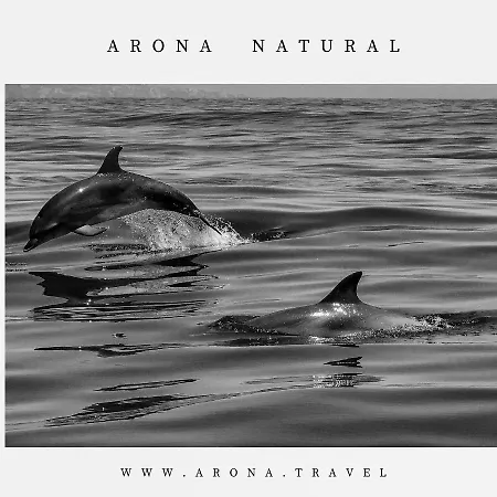 Costamar Lovely - Cristianos - 洛斯克里斯蒂亚诺斯